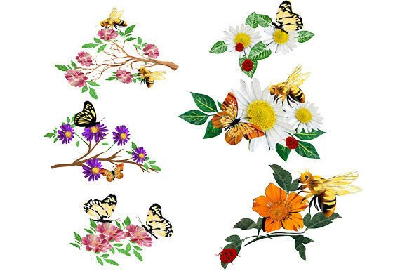 Charming Nature Illustrations for Creative Projects